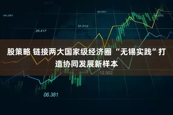 股策略 链接两大国家级经济圈 “无锡实践”打造协同发展新样本